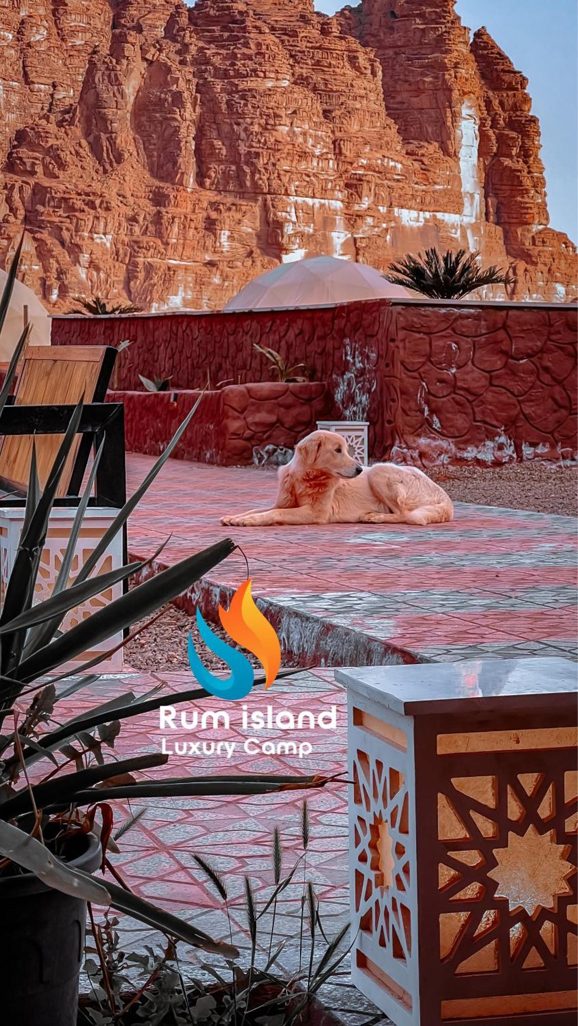 Rum Island Luxury Camp & Bubbles Hotel Wadi Rum Luaran gambar